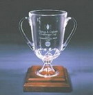 DeSotoCup
