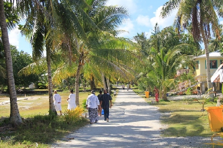 IMG 0992 resize